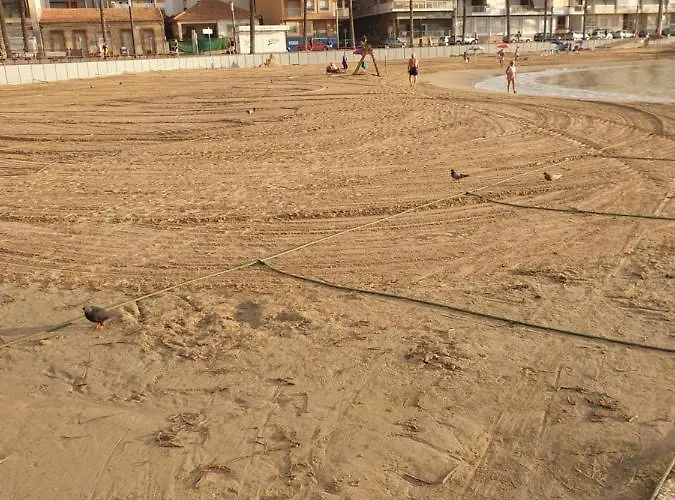 Mit Pool,450 M Zur Apartamento Torrevieja